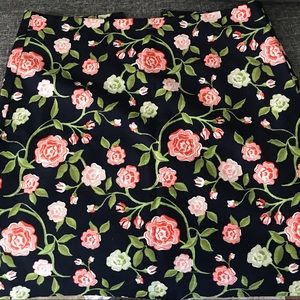 Ann Taylor skirt